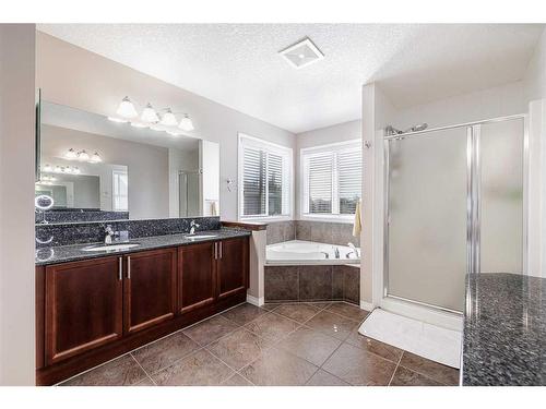 356 Windermere Drive, Chestermere, AB - Indoor Photo Showing Bathroom