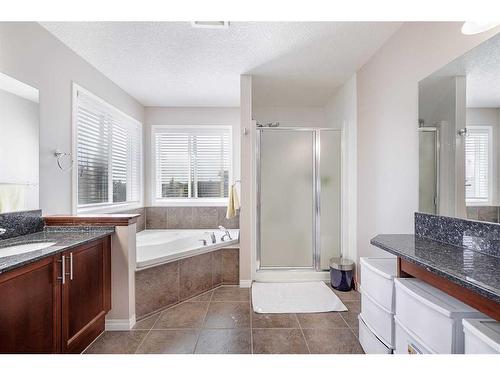 356 Windermere Drive, Chestermere, AB - Indoor Photo Showing Bathroom