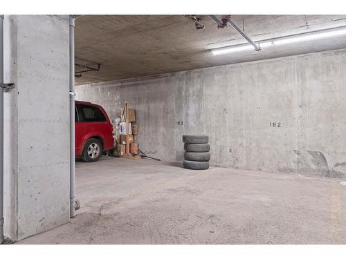 316-15 Saddlestone Way Ne, Calgary, AB - Indoor Photo Showing Garage