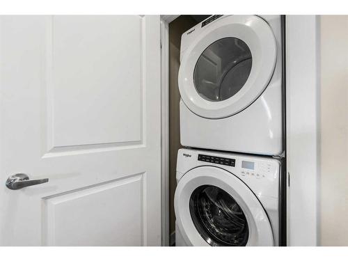 1669 Legacy Circle Se, Calgary, AB - Indoor Photo Showing Laundry Room