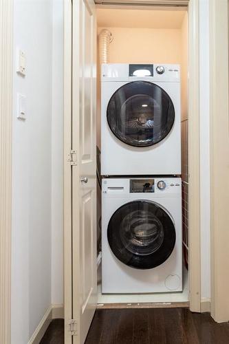 404-650 10 Street Sw, Calgary, AB - Indoor Photo Showing Laundry Room