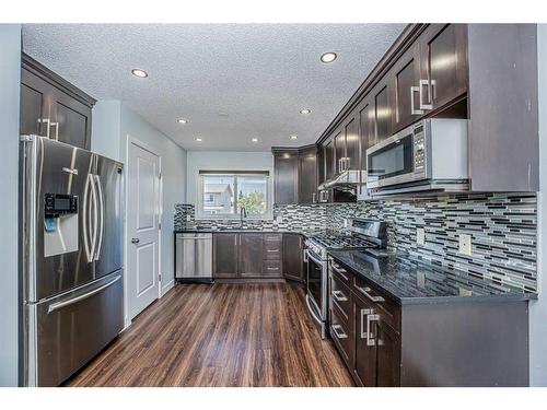 131 Castlebrook Rise Ne, Calgary, AB - Indoor Photo Showing Kitchen With Upgraded Kitchen