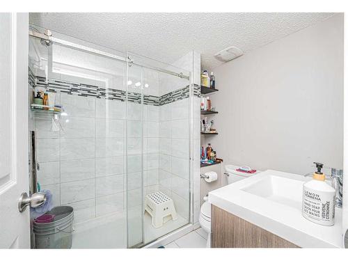 131 Castlebrook Rise Ne, Calgary, AB - Indoor Photo Showing Bathroom