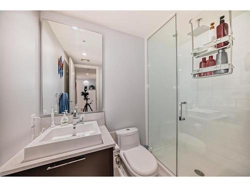 2008-1111 10 Street Sw, Calgary, AB - Indoor Photo Showing Bathroom