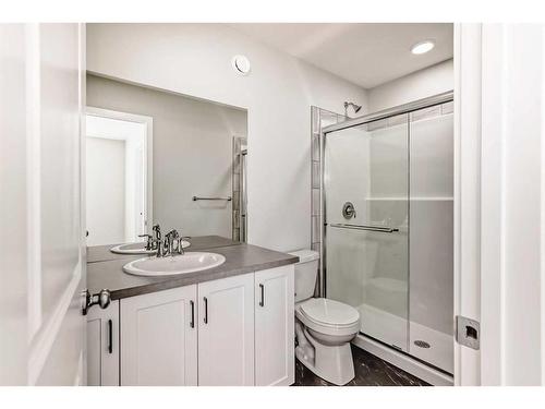 252 Savanna Terrace Ne, Calgary, AB - Indoor Photo Showing Bathroom