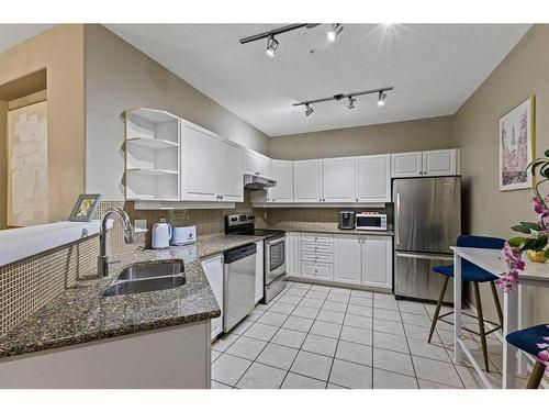 107-838 19 Avenue Sw, Calgary, AB - Indoor Photo Showing Kitchen With Double Sink