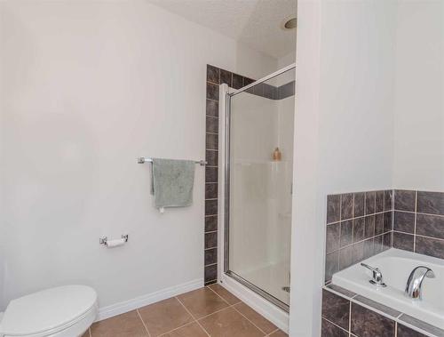 316 Morningside Crescent Sw, Airdrie, AB - Indoor Photo Showing Bathroom