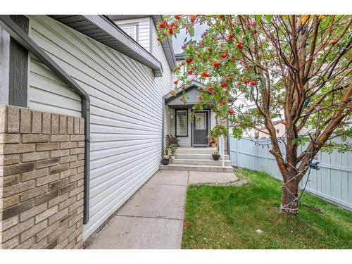 316 Morningside Crescent Sw, Airdrie, AB - Outdoor