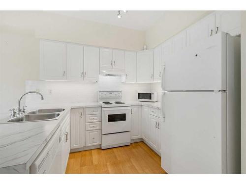 101-2105 2 Street Sw, Calgary, AB - Indoor Photo Showing Kitchen With Double Sink