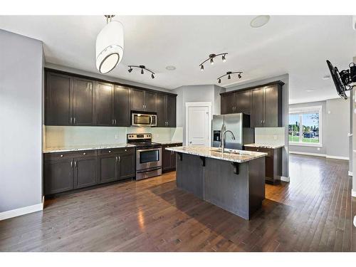 396 Rainbow Falls Drive, Chestermere, AB - Indoor Photo Showing Kitchen With Upgraded Kitchen