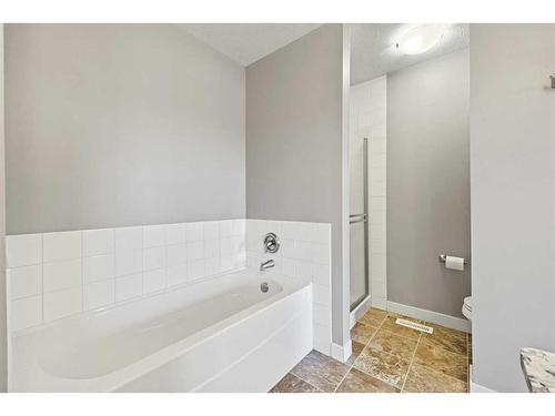 396 Rainbow Falls Drive, Chestermere, AB - Indoor Photo Showing Bathroom