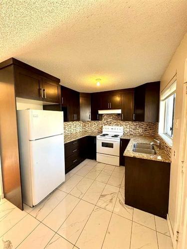 100 Martindale Boulevard Ne, Calgary, AB - Indoor Photo Showing Kitchen With Double Sink