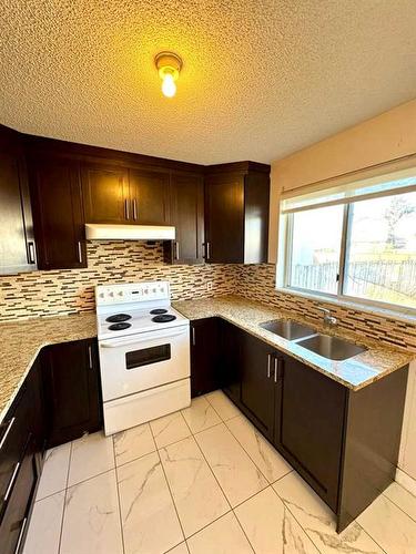 100 Martindale Boulevard Ne, Calgary, AB - Indoor Photo Showing Kitchen With Double Sink