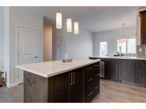 409 Legacy Boulevard, Calgary, AB - Indoor Photo Showing Kitchen With Double Sink