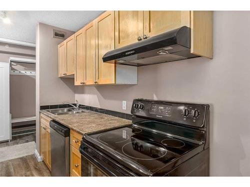 704-1240 12 Avenue Sw, Calgary, AB - Indoor Photo Showing Kitchen With Double Sink