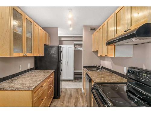 704-1240 12 Avenue Sw, Calgary, AB - Indoor Photo Showing Kitchen With Double Sink