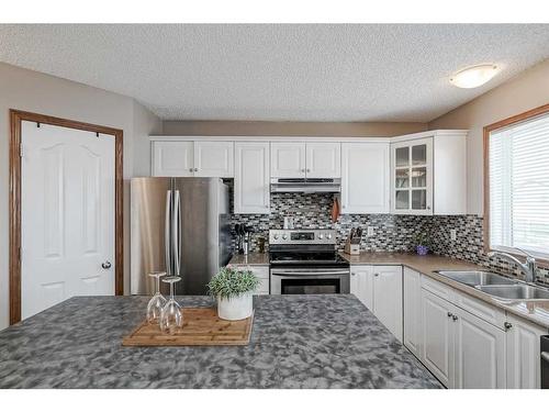 73 Applemont Place Se, Calgary, AB - Indoor Photo Showing Kitchen With Double Sink