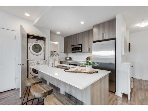 101-1629 38 Street Sw, Calgary, AB - Indoor Photo Showing Kitchen With Double Sink