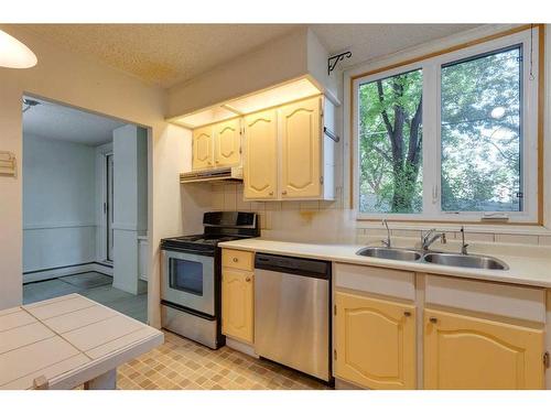 104-220 26 Avenue Sw, Calgary, AB - Indoor Photo Showing Kitchen With Double Sink