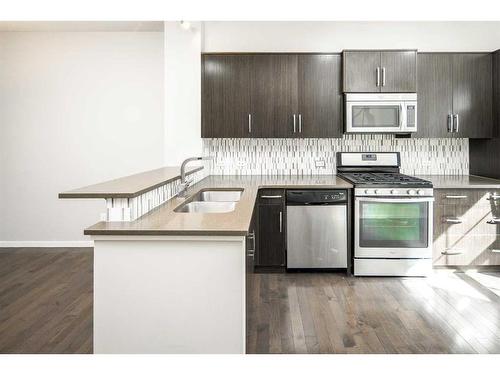 225 Ascot Circle Sw, Calgary, AB - Indoor Photo Showing Kitchen With Double Sink