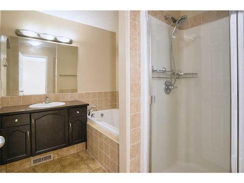 9221 Saddlebrook Drive Ne, Calgary, AB - Indoor Photo Showing Bathroom