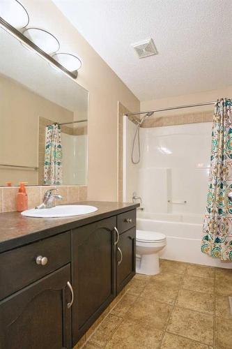 9221 Saddlebrook Drive Ne, Calgary, AB - Indoor Photo Showing Bathroom