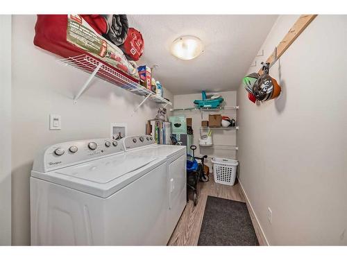 3317-181 Skyview Ranch Manor Ne, Calgary, AB - Indoor Photo Showing Laundry Room