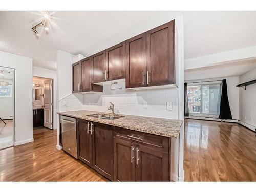 201-431 1 Avenue Ne, Calgary, AB - Indoor Photo Showing Kitchen With Double Sink