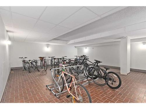 314-1602 11 Avenue Sw, Calgary, AB - Indoor Photo Showing Laundry Room