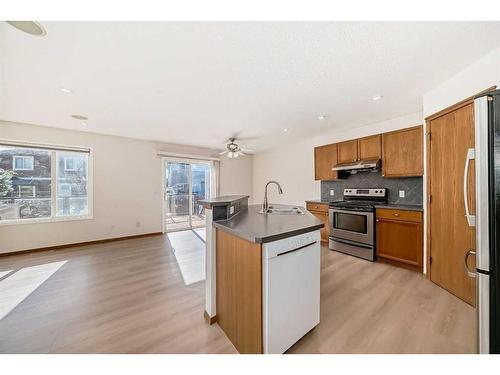 434 Saddlecreek Way Ne, Calgary, AB - Indoor Photo Showing Kitchen