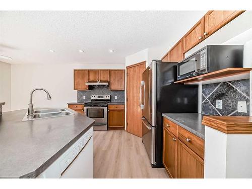 434 Saddlecreek Way Ne, Calgary, AB - Indoor Photo Showing Kitchen With Double Sink