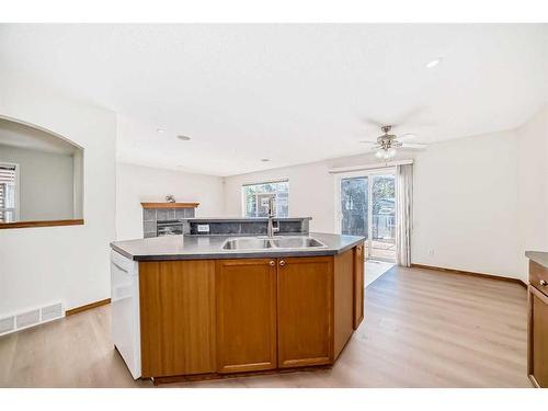 434 Saddlecreek Way Ne, Calgary, AB - Indoor Photo Showing Kitchen With Double Sink