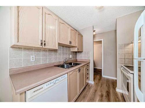 106-1015 14 Avenue Sw, Calgary, AB - Indoor Photo Showing Kitchen With Double Sink