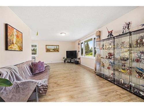 347 Huntbourne Way Ne, Calgary, AB - Indoor Photo Showing Living Room