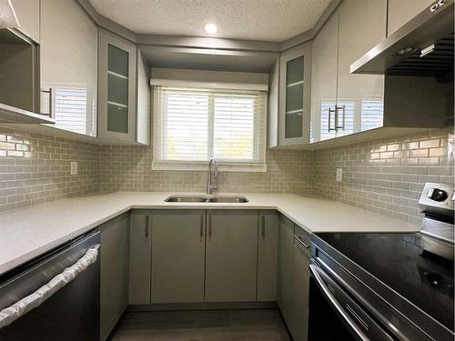 263 Castleridge Drive Ne, Calgary, AB - Indoor Photo Showing Kitchen With Double Sink