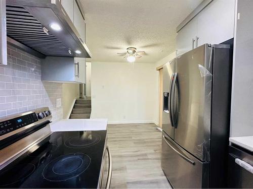 263 Castleridge Drive Ne, Calgary, AB - Indoor Photo Showing Kitchen With Stainless Steel Kitchen