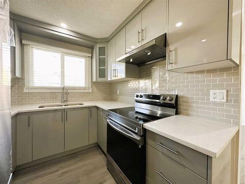 263 Castleridge Drive Ne, Calgary, AB - Indoor Photo Showing Kitchen With Stainless Steel Kitchen With Double Sink