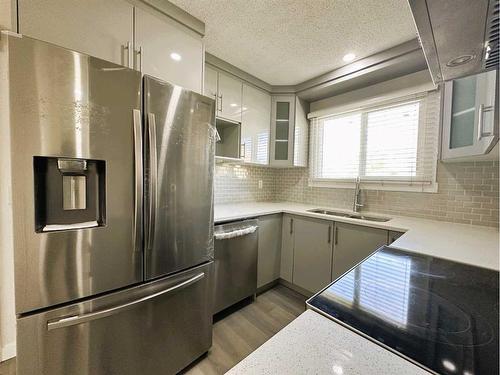 263 Castleridge Drive Ne, Calgary, AB - Indoor Photo Showing Kitchen With Stainless Steel Kitchen With Upgraded Kitchen