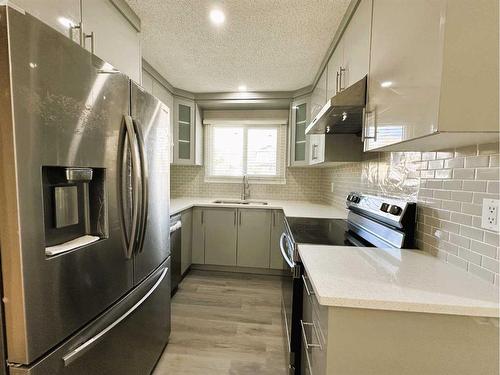 263 Castleridge Drive Ne, Calgary, AB - Indoor Photo Showing Kitchen With Stainless Steel Kitchen With Upgraded Kitchen