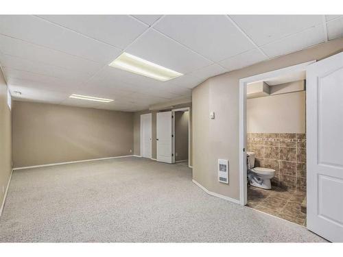 97 Douglas Ridge Circle Se, Calgary, AB - Indoor Photo Showing Basement