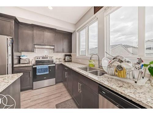 32 Cornerbrook Gate Ne, Calgary, AB - Indoor Photo Showing Kitchen With Double Sink With Upgraded Kitchen