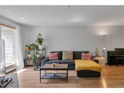 205-3 Somervale View Sw, Calgary, AB - Indoor Photo Showing Living Room