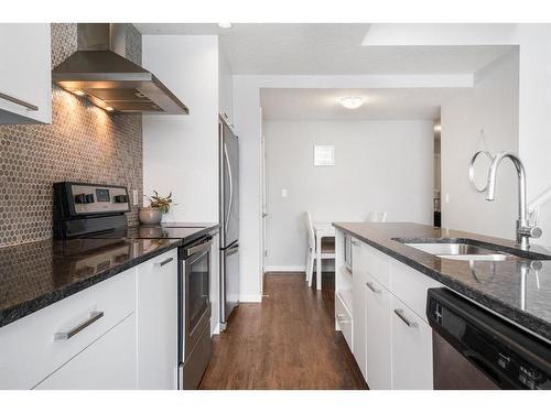 419 Saddlemont Boulevard Ne, Calgary, AB - Indoor Photo Showing Kitchen With Upgraded Kitchen