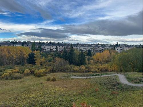 27 Royal Birch Cove Nw, Calgary, AB - Outdoor With View