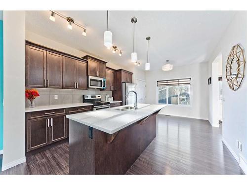 19 Savanna Parade Ne, Calgary, AB - Indoor Photo Showing Kitchen With Double Sink With Upgraded Kitchen