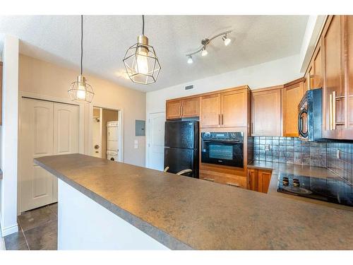 308-26 Val Gardena View Sw, Calgary, AB - Indoor Photo Showing Kitchen