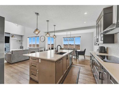 26 Chelsea Bay, Chestermere, AB - Indoor Photo Showing Kitchen With Upgraded Kitchen