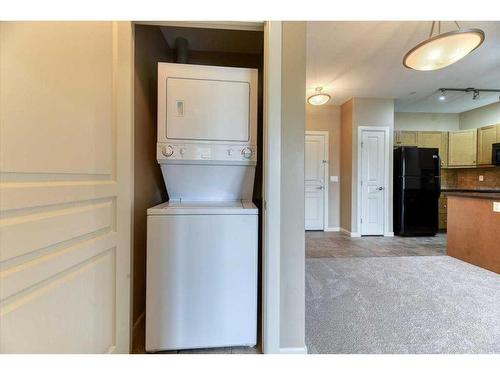 101-52 Cranfield Link Se, Calgary, AB - Indoor Photo Showing Laundry Room