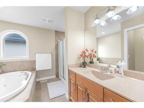 133 Saddleland Close Ne, Calgary, AB - Indoor Photo Showing Bathroom