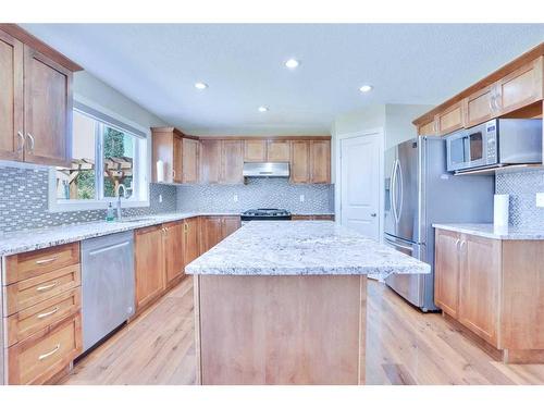 108 Rainbow Falls Grove, Chestermere, AB - Indoor Photo Showing Kitchen With Double Sink